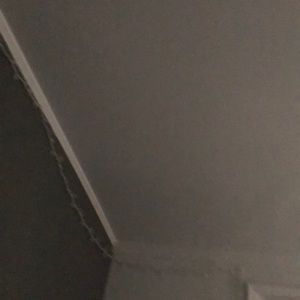 Meet your Posher, Dani